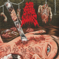 200 STAB WOUNDS Slave to the Scalpel [CD]