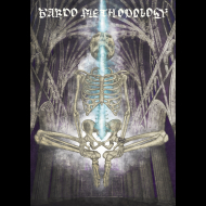 BARDO METHODOLOGY #8
