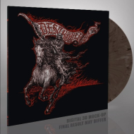 DESTROYER 666 Wildfire LP GATEFOLD SILVER BLACK MARBLED [VINYL 12"]