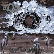 ECTOVOID Fractured In The Timeless Abyss [CD]
