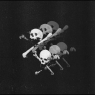 PRIMITIVE SLAUGHTER Endless Raids MCD [CD]