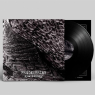 PRECAMBRIAN Glaciology LP BLACK [VINYL 12"]