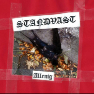STANDVAST Allenig [CD]