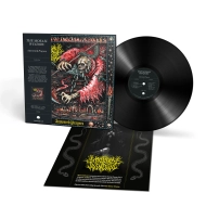 THE MOSAIC WINDOW Answered Prayers LP BLACK , PRE-ORDER [VINYL 12"]