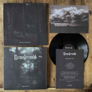 DEMSTERVOLD Afgrondstocht LP [VINYL 12"]