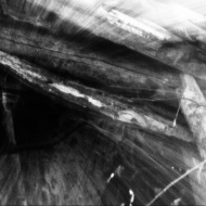 HADOPELAGYAL Haematophoryktos TAPE [MC]