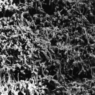 NECROPOLISSEBEHT Taurunovem - Th’Astraktyan Serfdome TAPE , PRE-ORDER [MC]