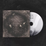 PURE WRATH Bleak Days Ahead DIGIPAK , PRE-ORDER [CD]