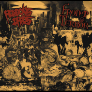 HIDEOUS CHAOS / FRONT TERROR Hideous Chaos / Front Terror (black) [VINYL 12"]