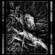 BLOOD STRONGHOLD The Triumph Of Wolfish Destiny LP (black) [VINYL 12"]