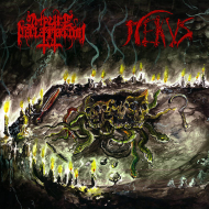 IMPURE DECLARATION / NEKUS Malevolence Evocations [CD]