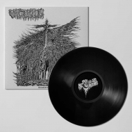 VACUOUS Dreams of Dysphoria LP BLACK [VINYL 12"]