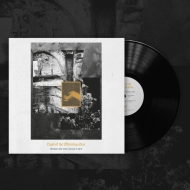 LIGHT OF THE MORNING STAR Wings in the Night Sky LP BLACK , PRE-ORDER [VINYL 12"]