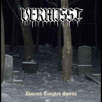 VERMISST Damned Temples Spirits [CD]