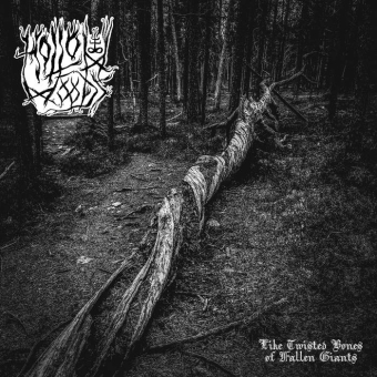 HOLLOW WOODS Like Twisted Bones Of Fallen Giants [CD]