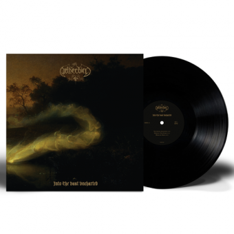 NETHERBIRD Into The Vast Uncharted LP [VINYL 12'']