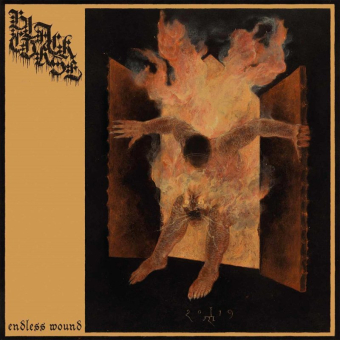 BLACK CURSE Endless Wound DIGIPAK [CD]