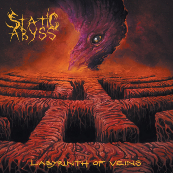 STATIC ABYSS Labyrinth Of Veins [CD]