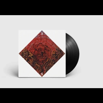 AINSOPH Affection & Vengeance LP BLACK [VINYL 12"]