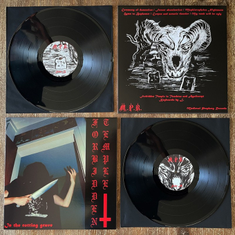 FORBIDDEN TEMPLE In the Rotting Grave LP BLACK , PRE-ORDER [VINYL 12"]