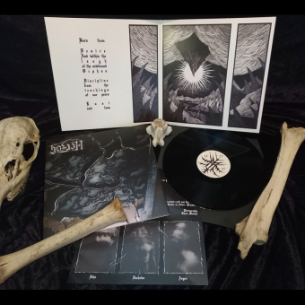HERZOG Furnace LP BLACK [VINYL 12"]