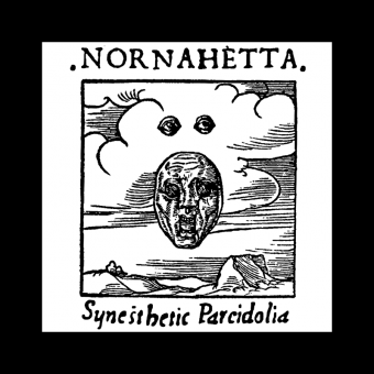 NORNAHETTA Synesthetic Pareidolia BLACK LP [VINYL 12'']