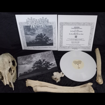 OERHEKS Landschapsanachronismen LP BLACK [VINYL 12"]