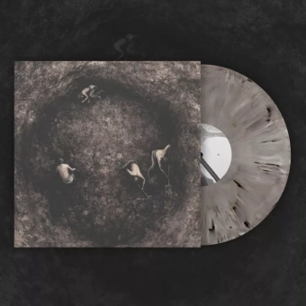PURE WRATH Bleak Days Ahead LP GALAXY , PRE-ORDER [VINYL 12"]