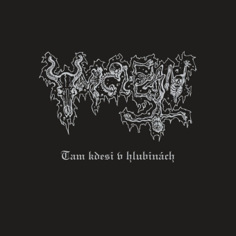 UNCLEAN tam kdesi v hlubinach LP CLEAR , PRE-ORDER [VINYL 12"]